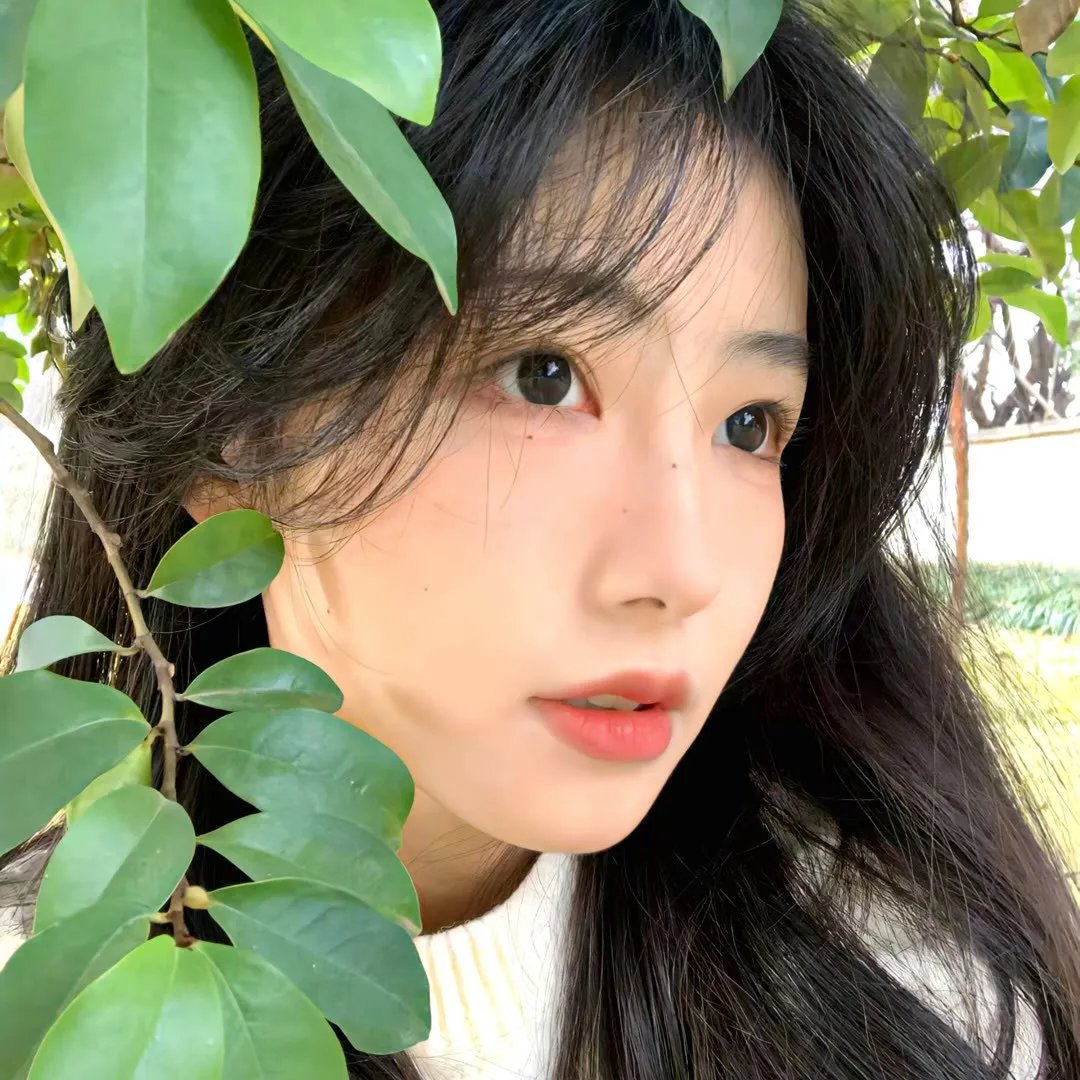 会画少年的天空